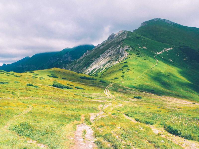 下载问题大全<br>转圈/暂停/失败全套解决方案